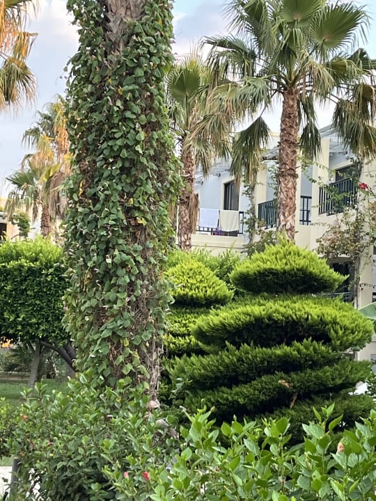 Gartenanlage Hotel Tigaki Beach
