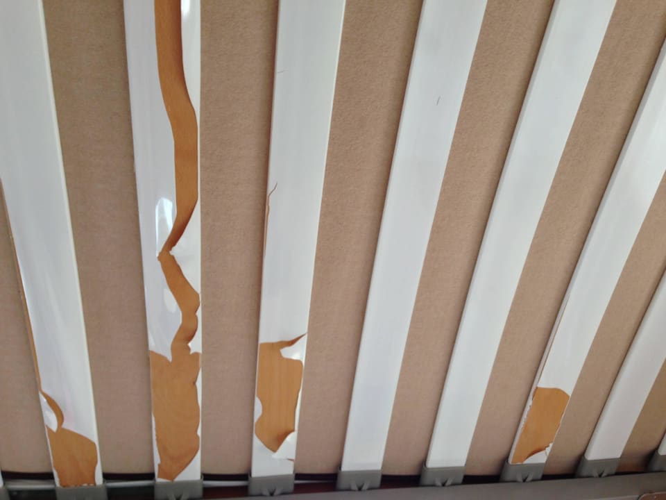 Oberes Bett des Hochbetts vom unteren Bett aus Strandvillen Binz