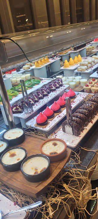 Gastro Seashell Vega