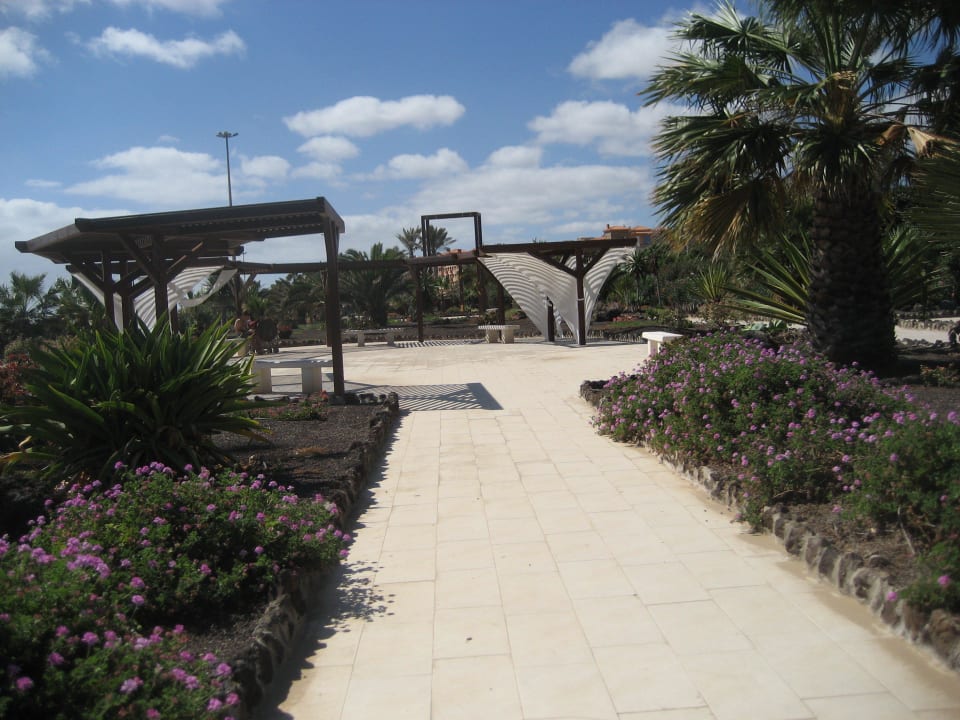 Hotel Elba Carlota Beach Resort  Elba Carlota Beach & Golf Resort