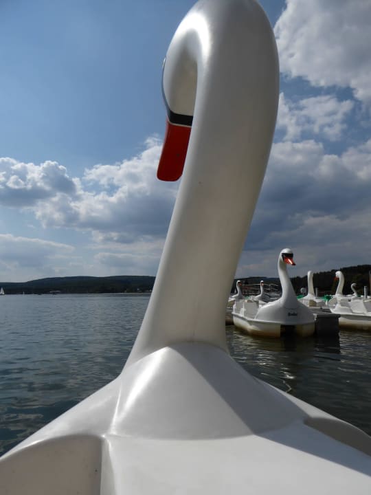 Schwanentretboot auf dem See Center Parcs Park Bostalsee