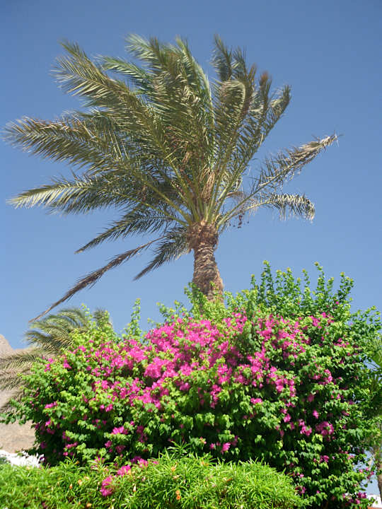 Zahrada Happy Life Village