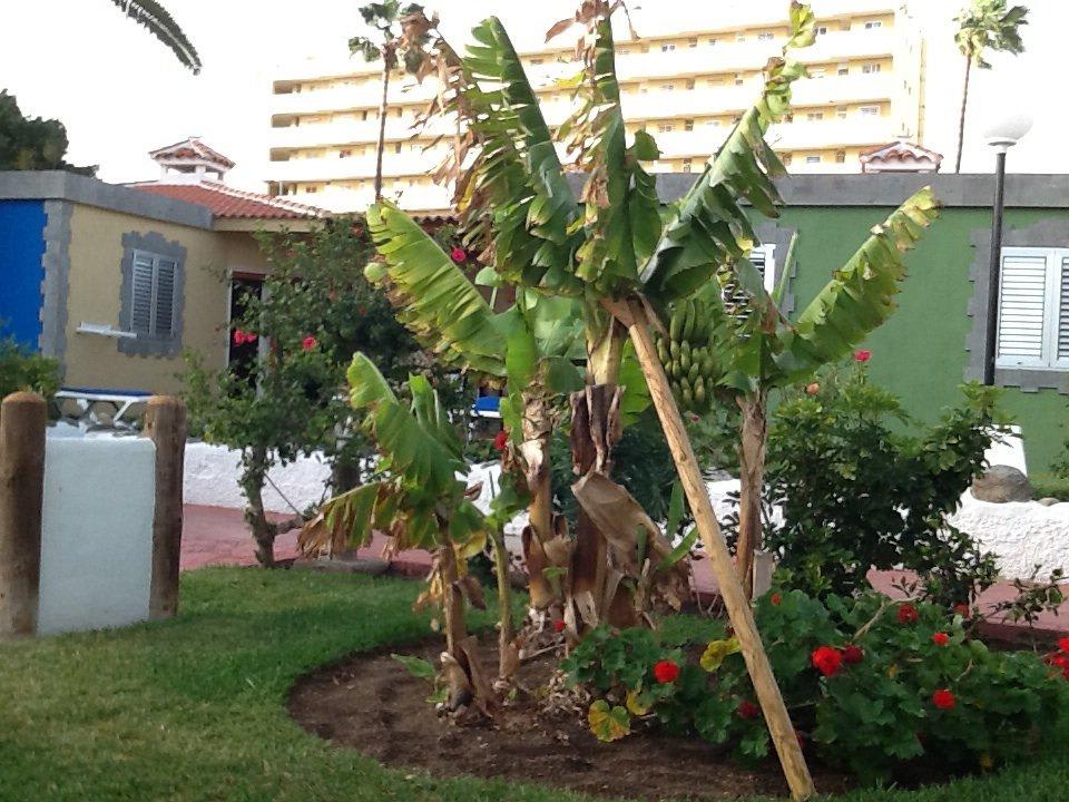 Anlage HL Miraflor Suites Hotel