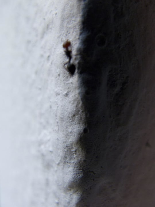 Ameisen Magal Maradiso Hotel by Aminess