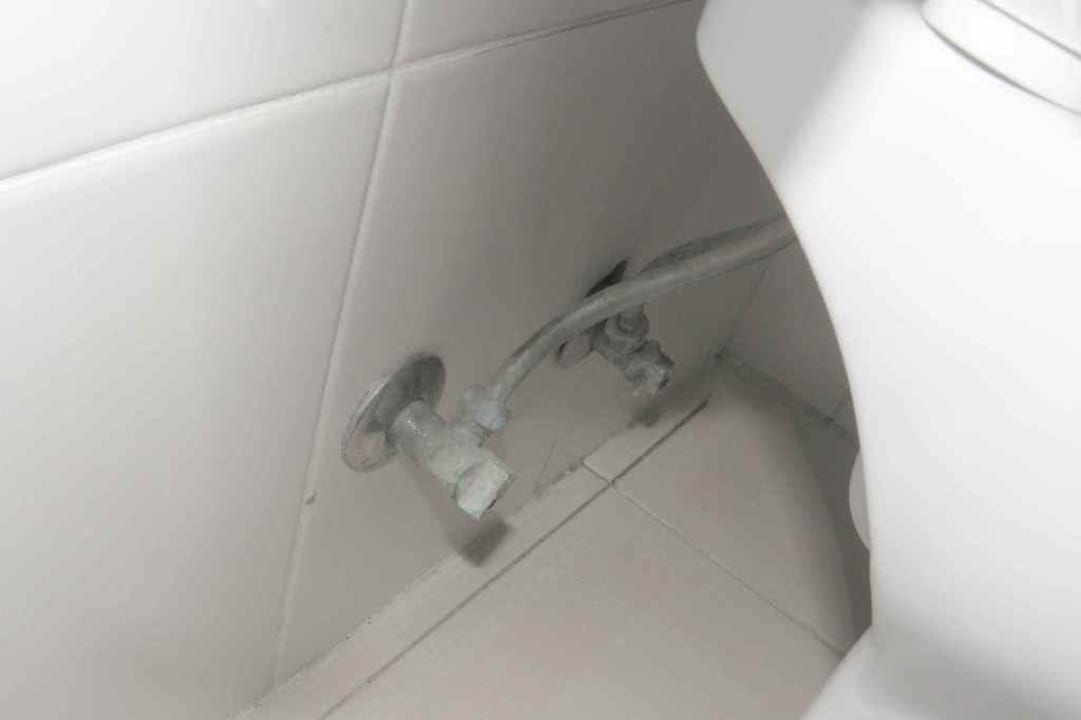 Vergammelt HOVIMA Jardin Caleta