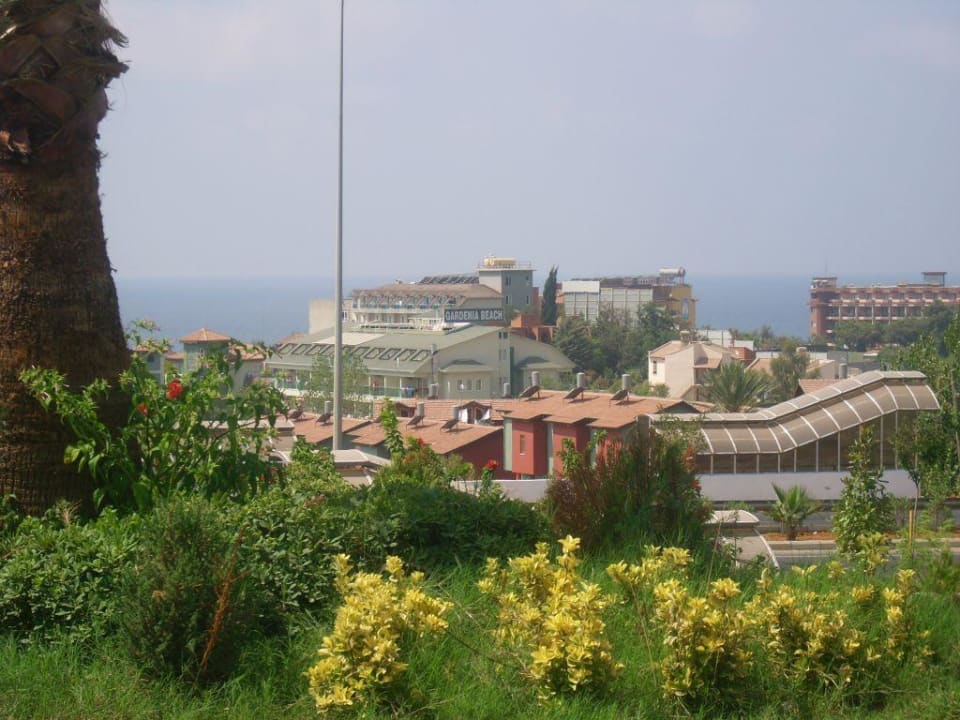 Hotelumgebung Gardenia Beach Hotel Gardenia Beach