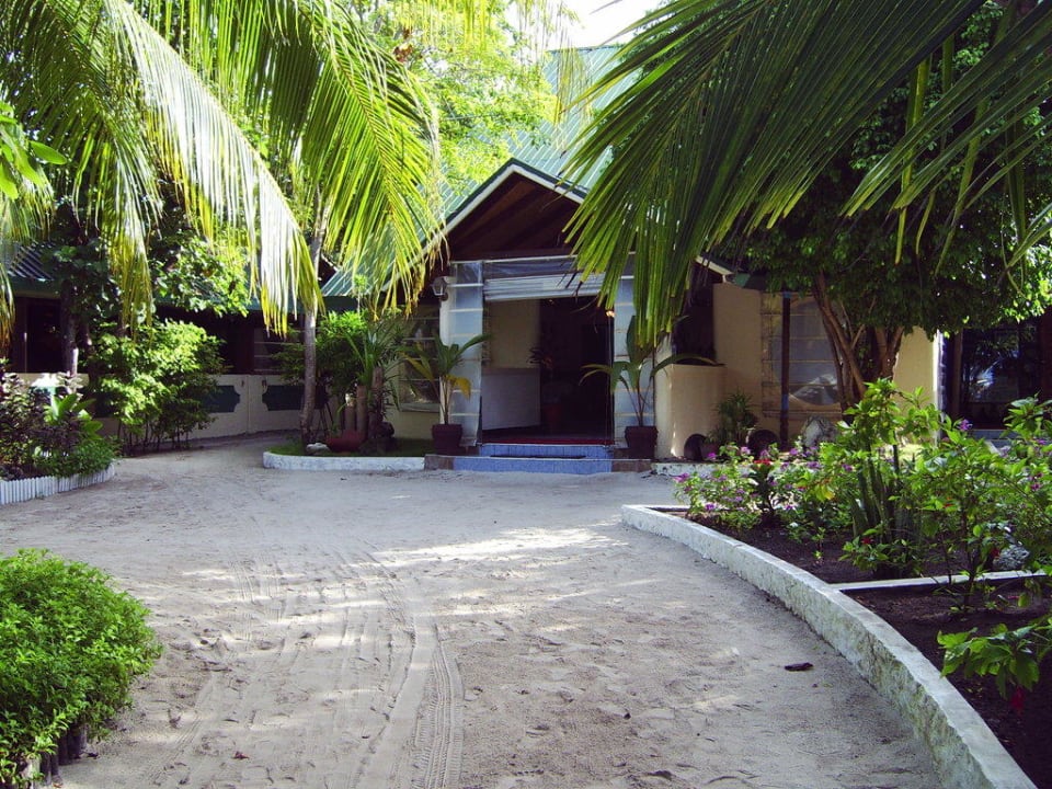 Weg zum Empfang und Restaurant Eri Maldives