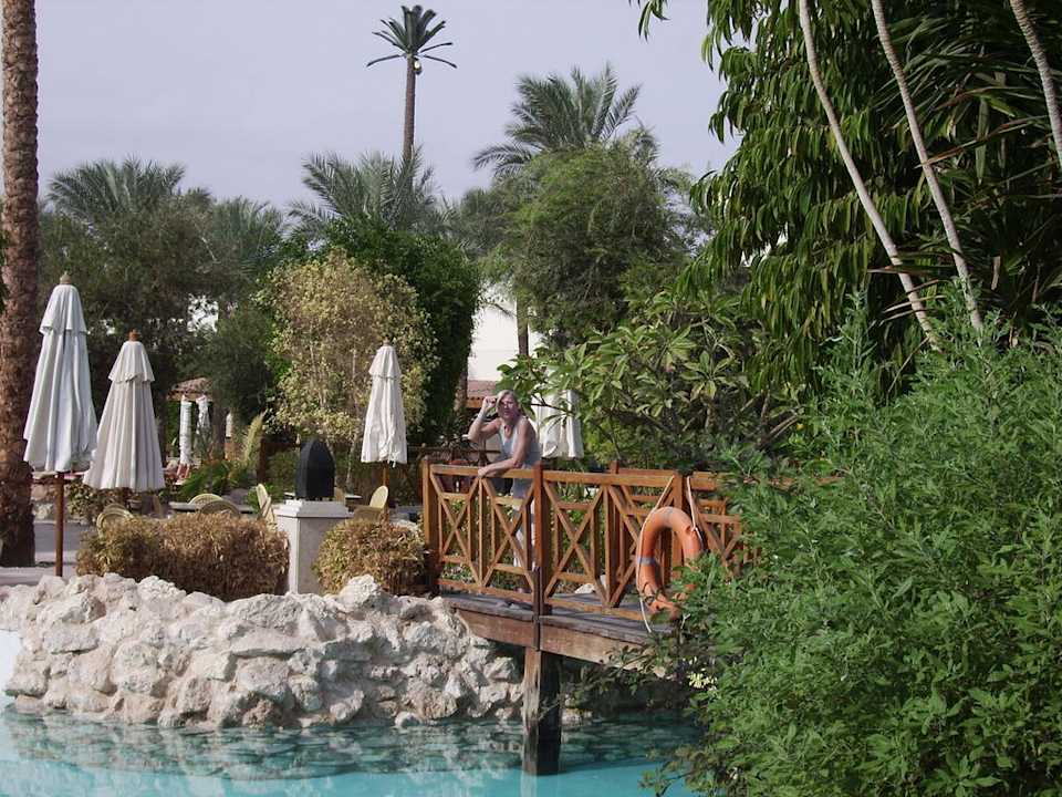 Garten- & Poolanlage Ghazala Gardens