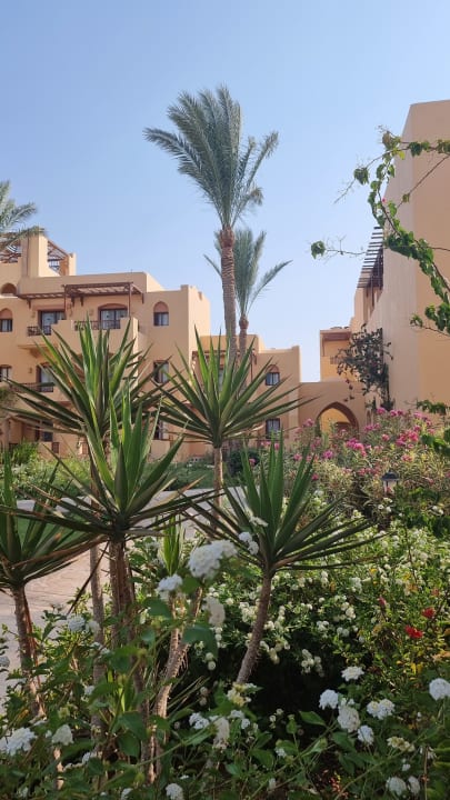 Gartenanlage Steigenberger Coraya Beach - Adults only