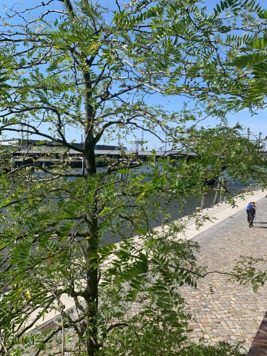 Ausblick JUFA Hotel Hamburg HafenCity