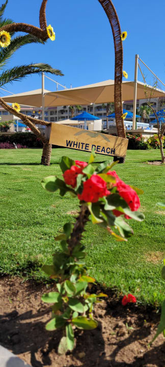 Sonstiges Pickalbatros White Beach Resort - Hurghada