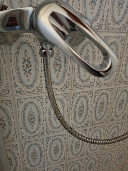 Zimmer Hotel an der Hauptallee