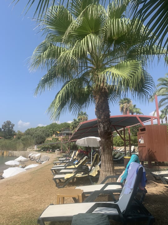 Strand Oz Hotels Incekum Beach