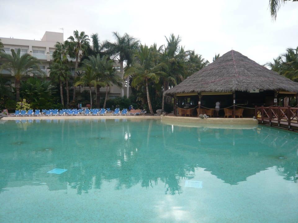 Poolblick Tabaiba Princess