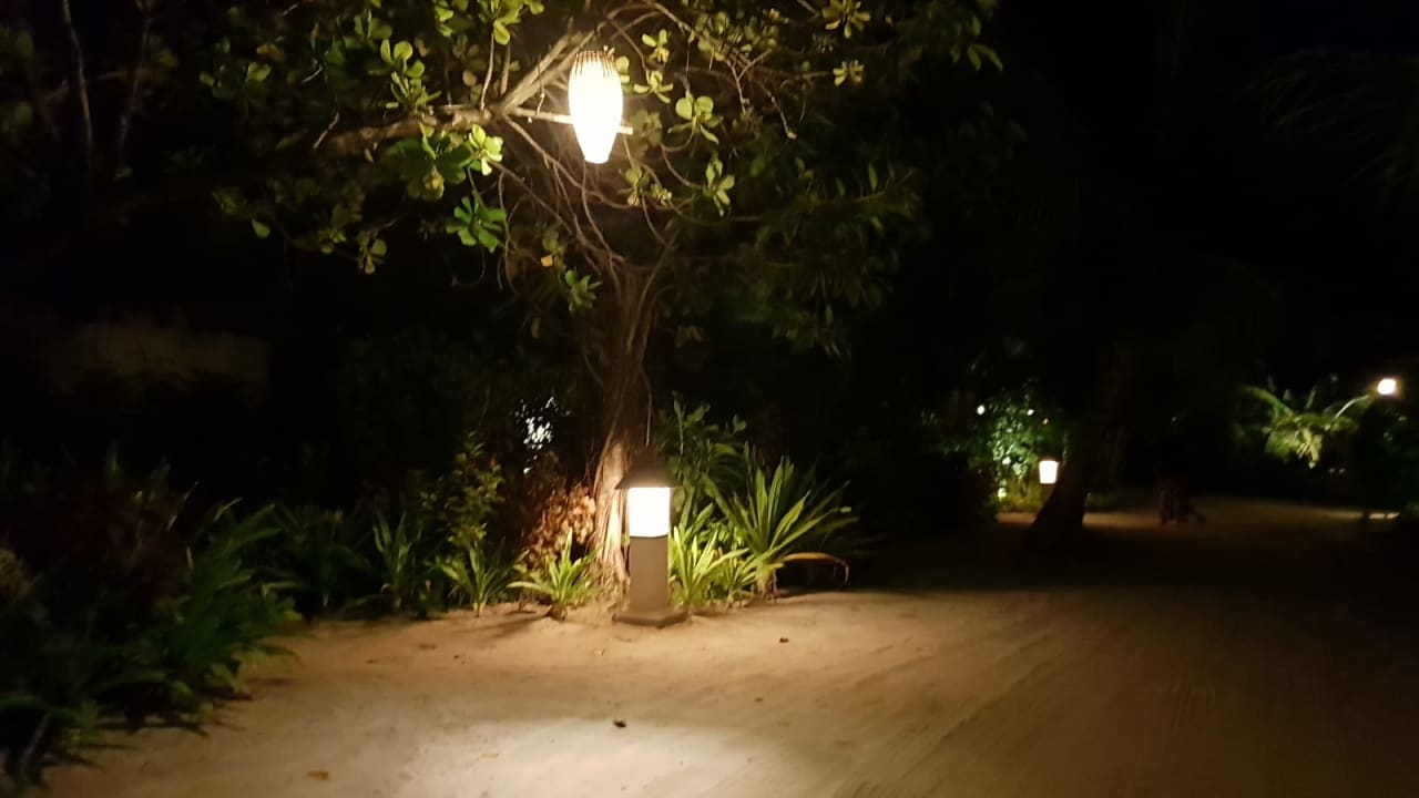 Gartenanlage Sun Siyam Iru Fushi