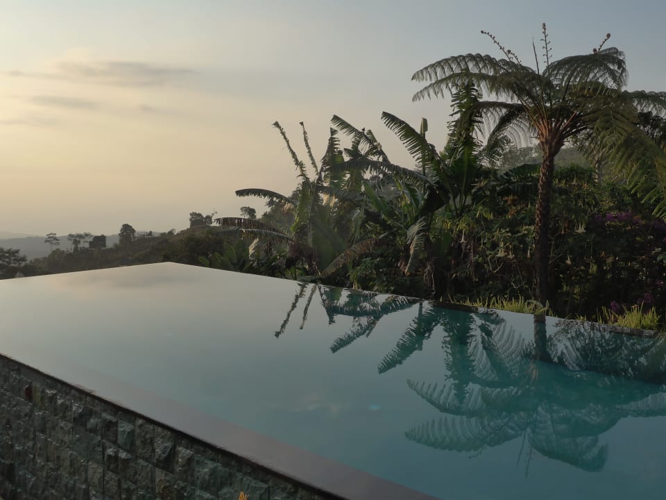 Pool Hotel Munduk Moding Plantation Nature