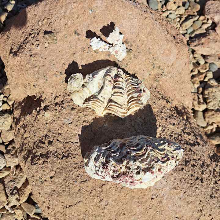 Strand Pickalbatros Villaggio Resort - Portofino