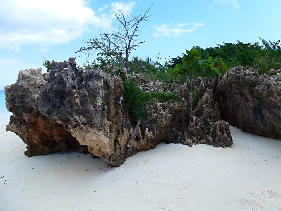 Sonstiges Motiv Hotel Riu Palace Zanzibar