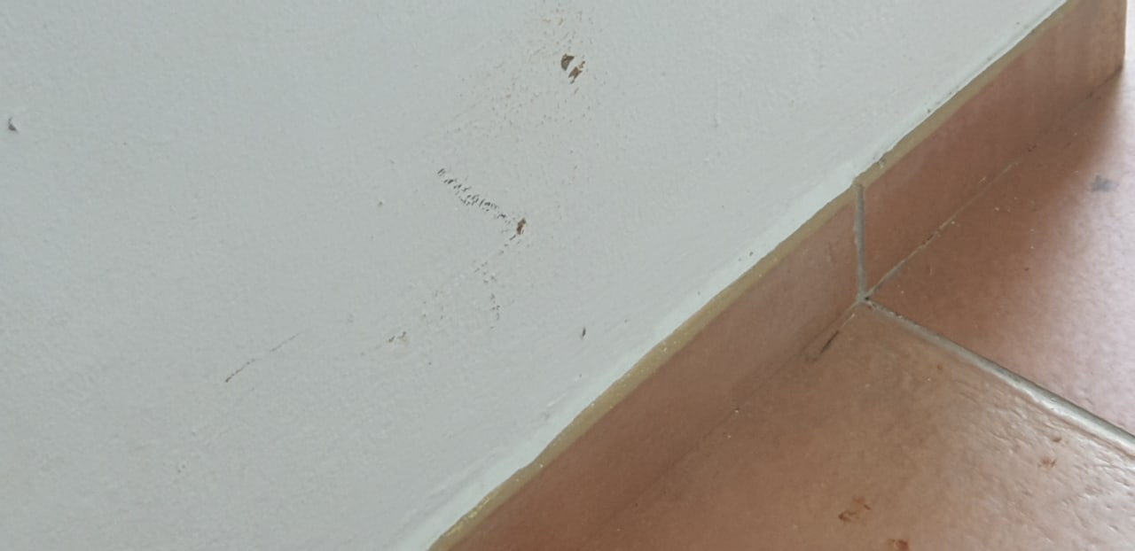 Zimmer Melia Las Dunas