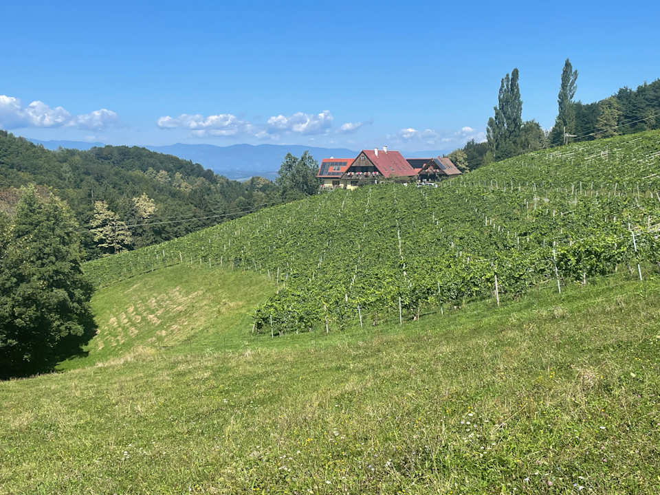 Außenansicht Hotel Winzerzimmer Rothschädl