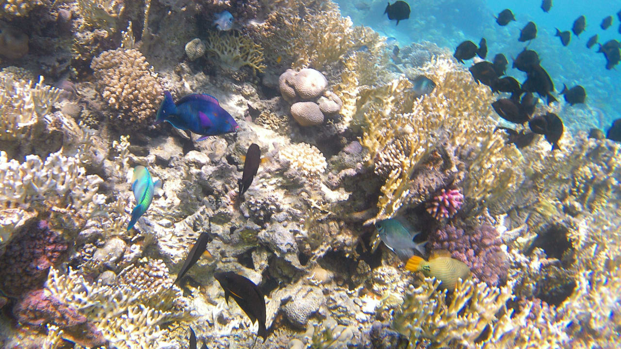 Sport & Freizeit Makadi Spa - Adults only