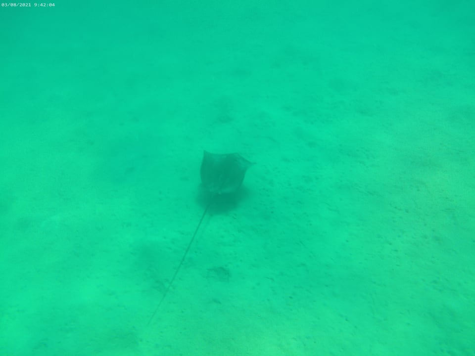 Strand Cleopatra Luxury Resort Makadi Bay