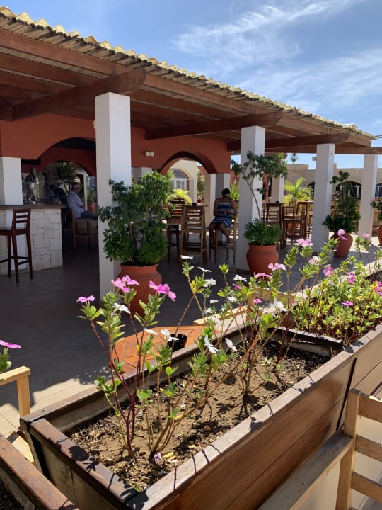 Gastro Occidental Boa Vista Beach