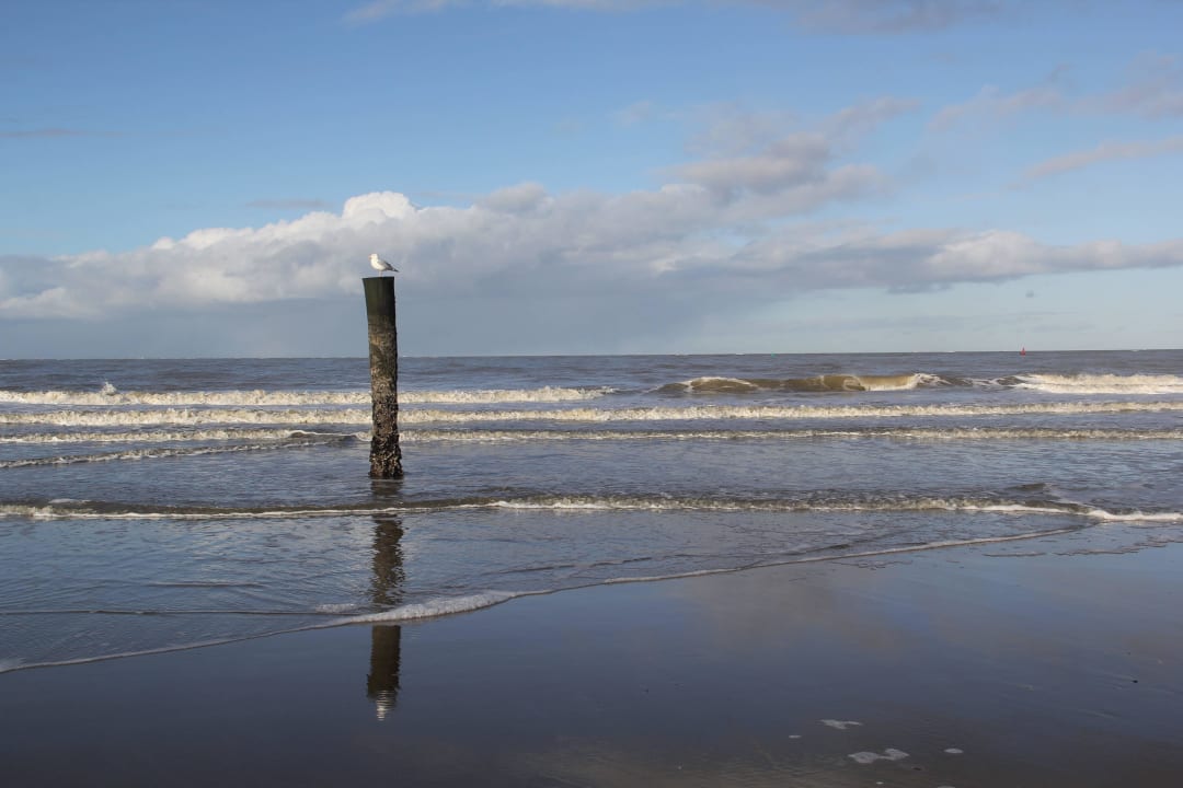 Impressionen 2 Strandhotel Georgshöhe