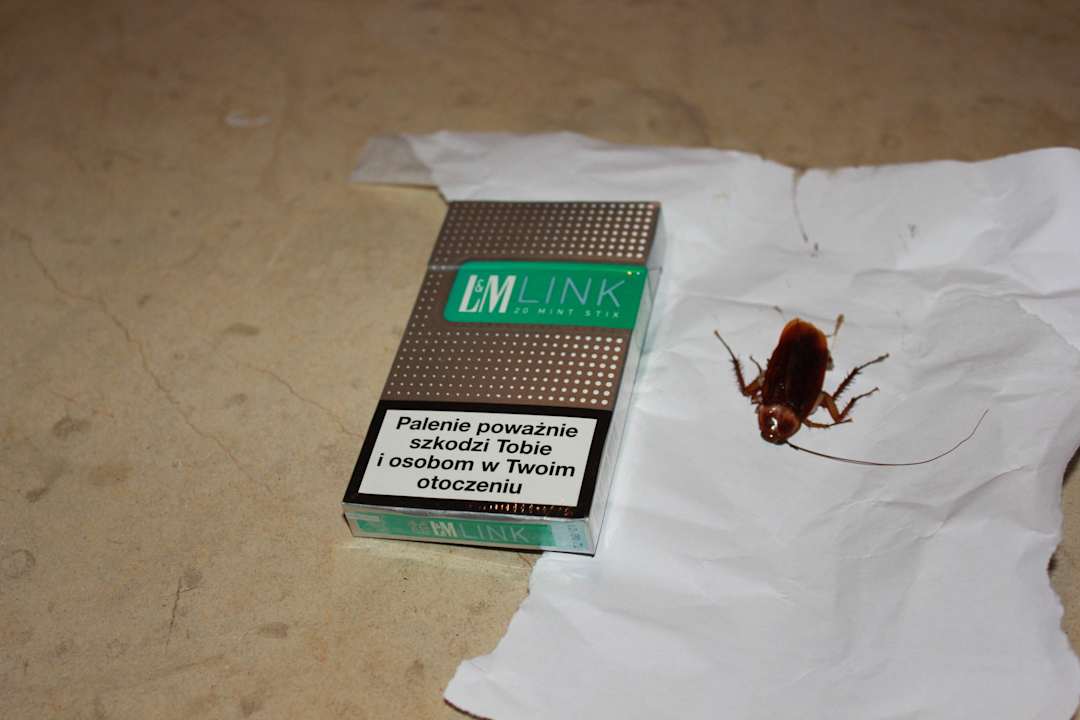 KARAKAN w pokoju Alassio Hotel and Thalasso