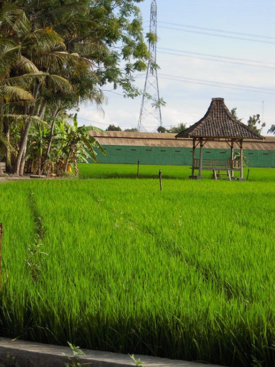 Einfach nur schön! D'Omah Hotel