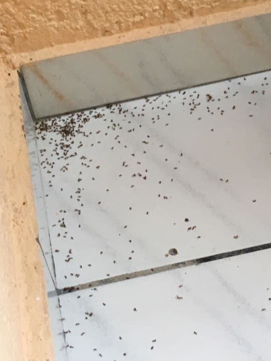 Balkon Anissa Beach & Village