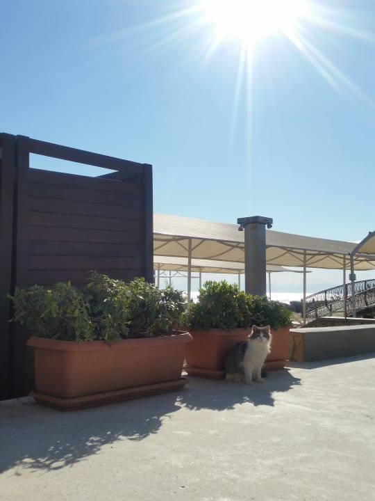 Strand Luna Blanca Resort & Spa