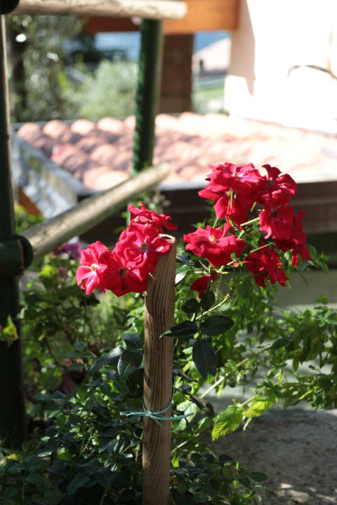 Gartenanlage Relax Hotel Villa La Gardenia & Oleandra