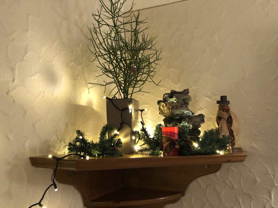 Gastro Landgasthof Löwen Tennenbronn