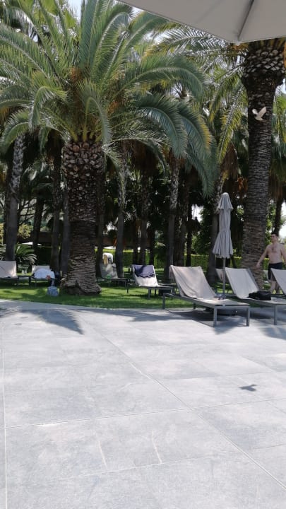 Gartenanlage Hotel Miramare Beach