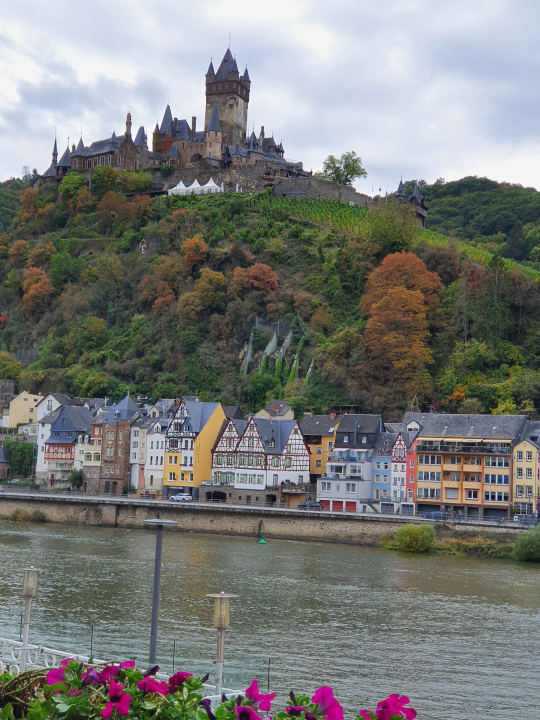 Ausblick Moselstern Hotel Brixiade & Triton