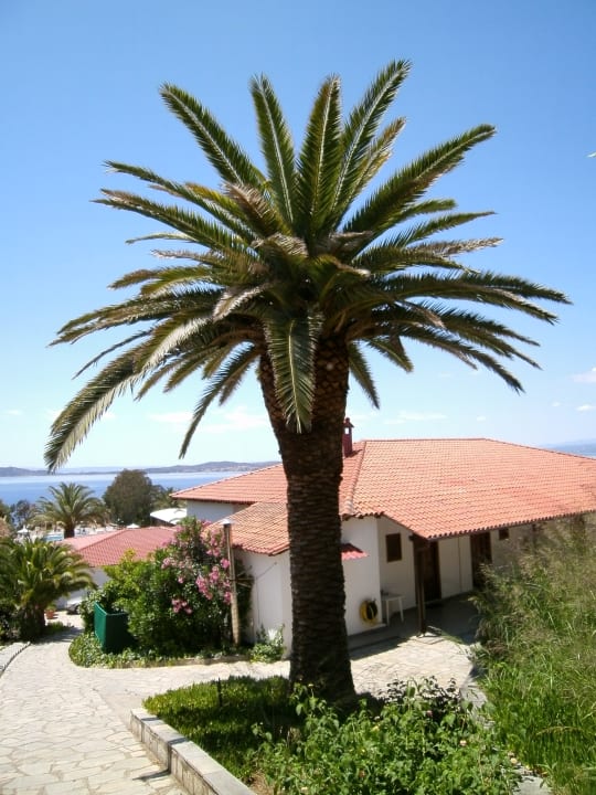 Außenansicht Aristoteles Holiday Resort & Spa