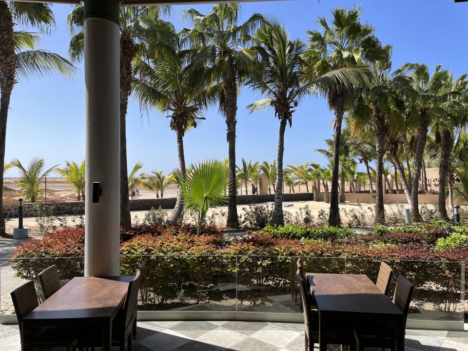 Gartenanlage Hotel Riu Cabo Verde