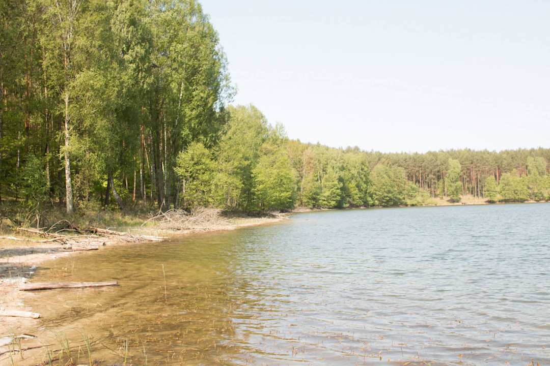 Jezioro Karsie Bzy i Magnolie