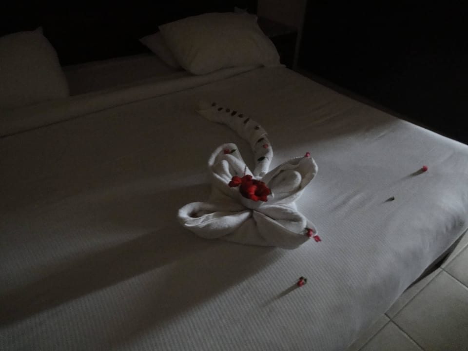 Zimmer Shams Prestige Abu Soma-Adults Only