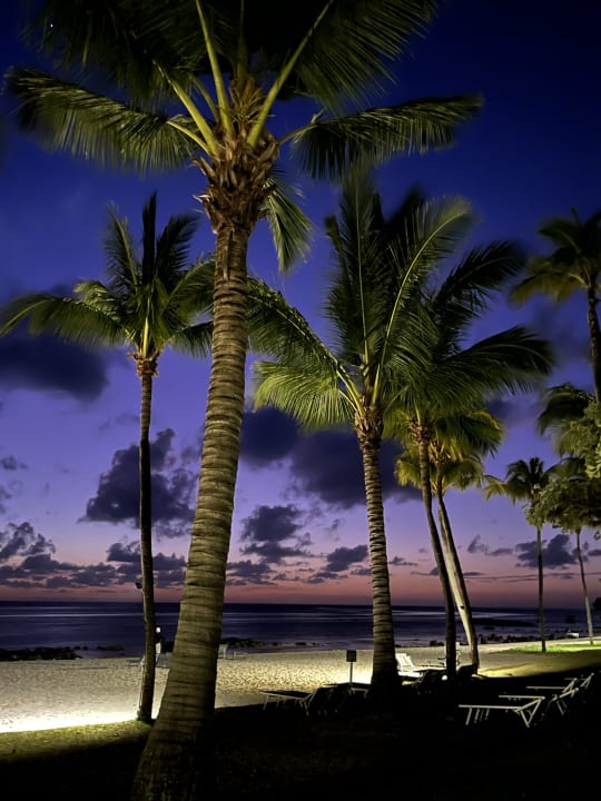 Strand Tamassa Bel Ombre