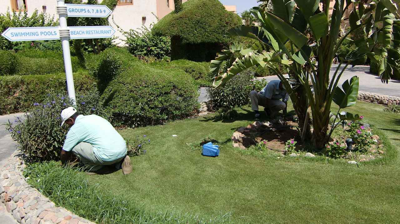 Gartenanlage / Unterbringung Iberotel Makadi Beach