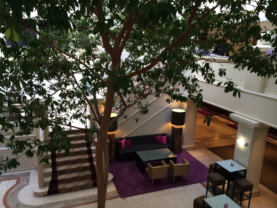 Echter Baum in der Lobby Crowne Plaza ® Hamburg - City Alster