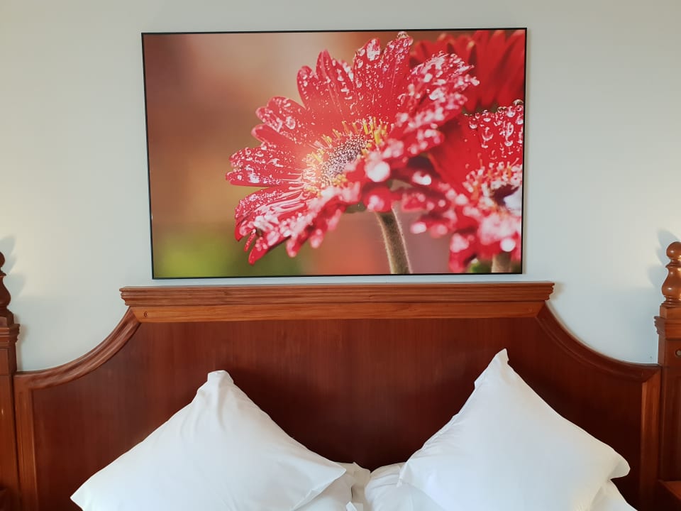 Zimmer Hotel ValleMar