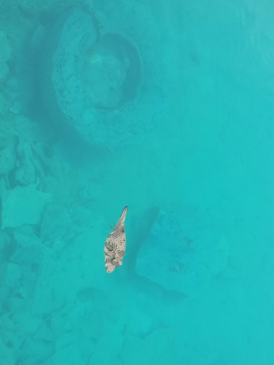 Strand The Grand Palace - Adults only