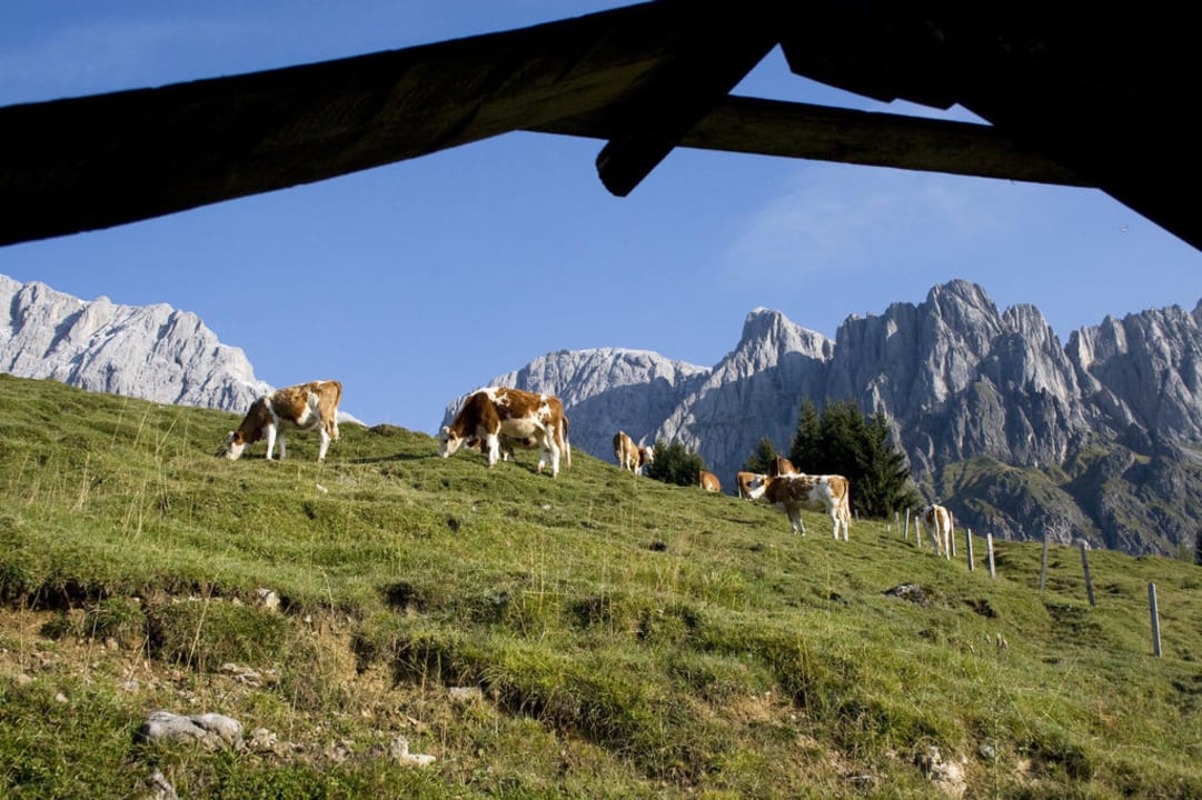 Blick am Morgen aus dem Badezimmer Alpengasthof Hotel Kopphütte
