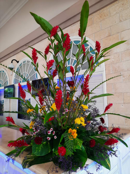 Sonstiges Paradisus Princesa del Mar Resort & Spa - Adults only