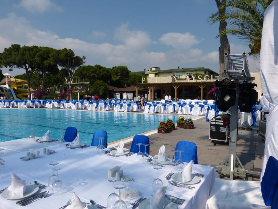 Vorbereitung zum Galaabend Papillon Ayscha