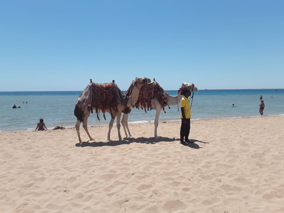 Strand Shams Safaga Resort