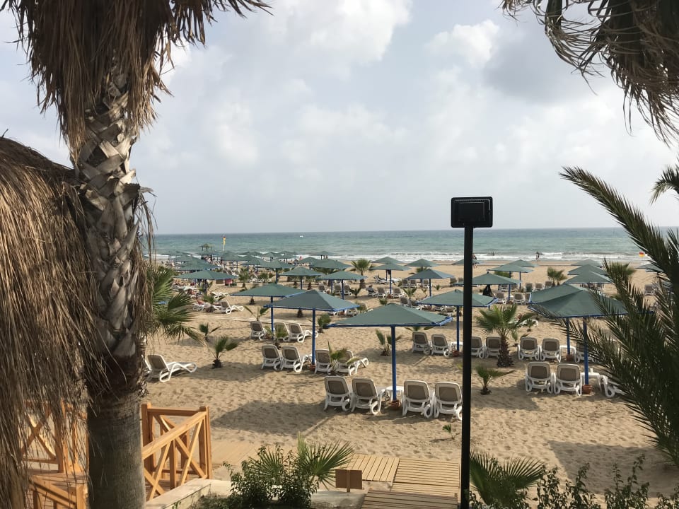 Strandblick vom Pool  Paloma Oceana
